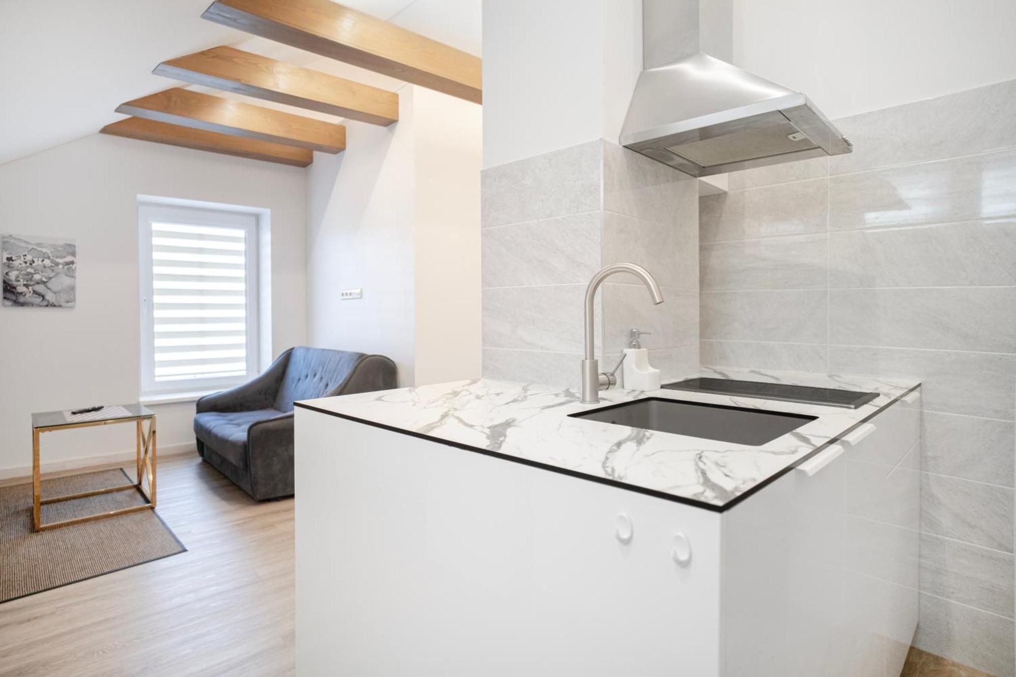 Kaunas Castle Apartments - Studio Dış mekan fotoğraf