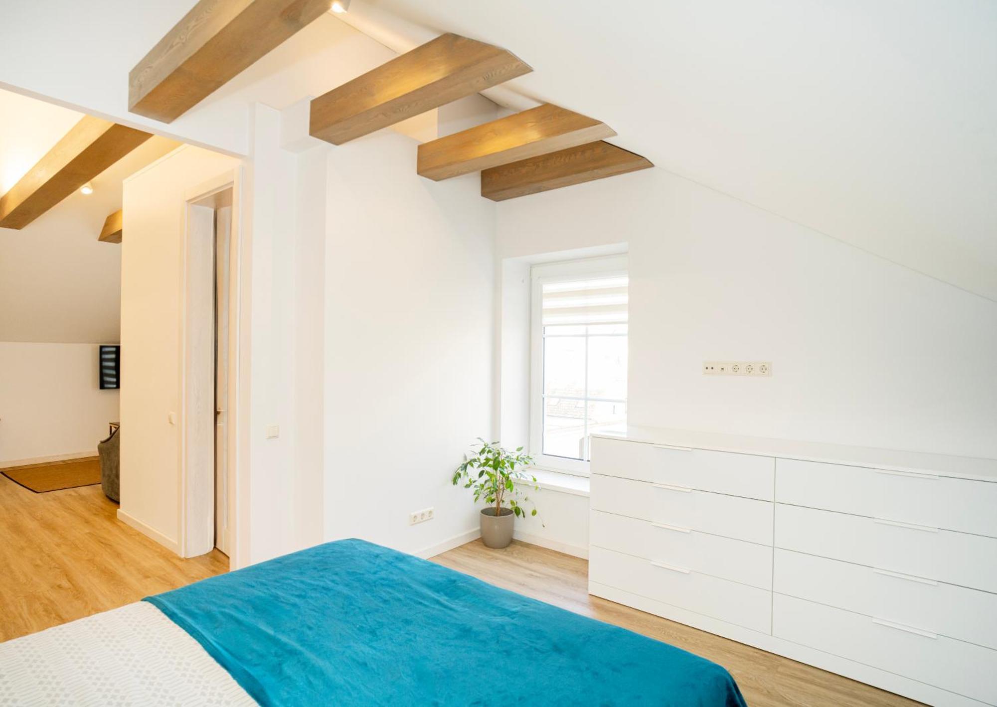 Kaunas Castle Apartments - Studio Dış mekan fotoğraf